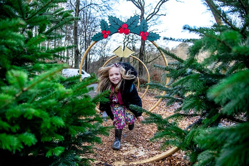 12 Days of Christmas