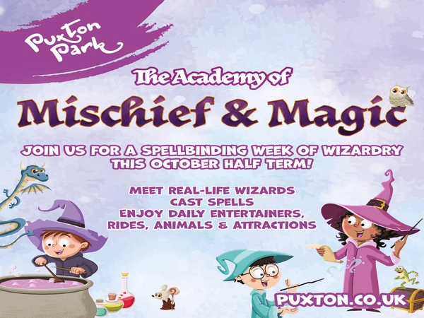 The Academy Of Mischief & Magic