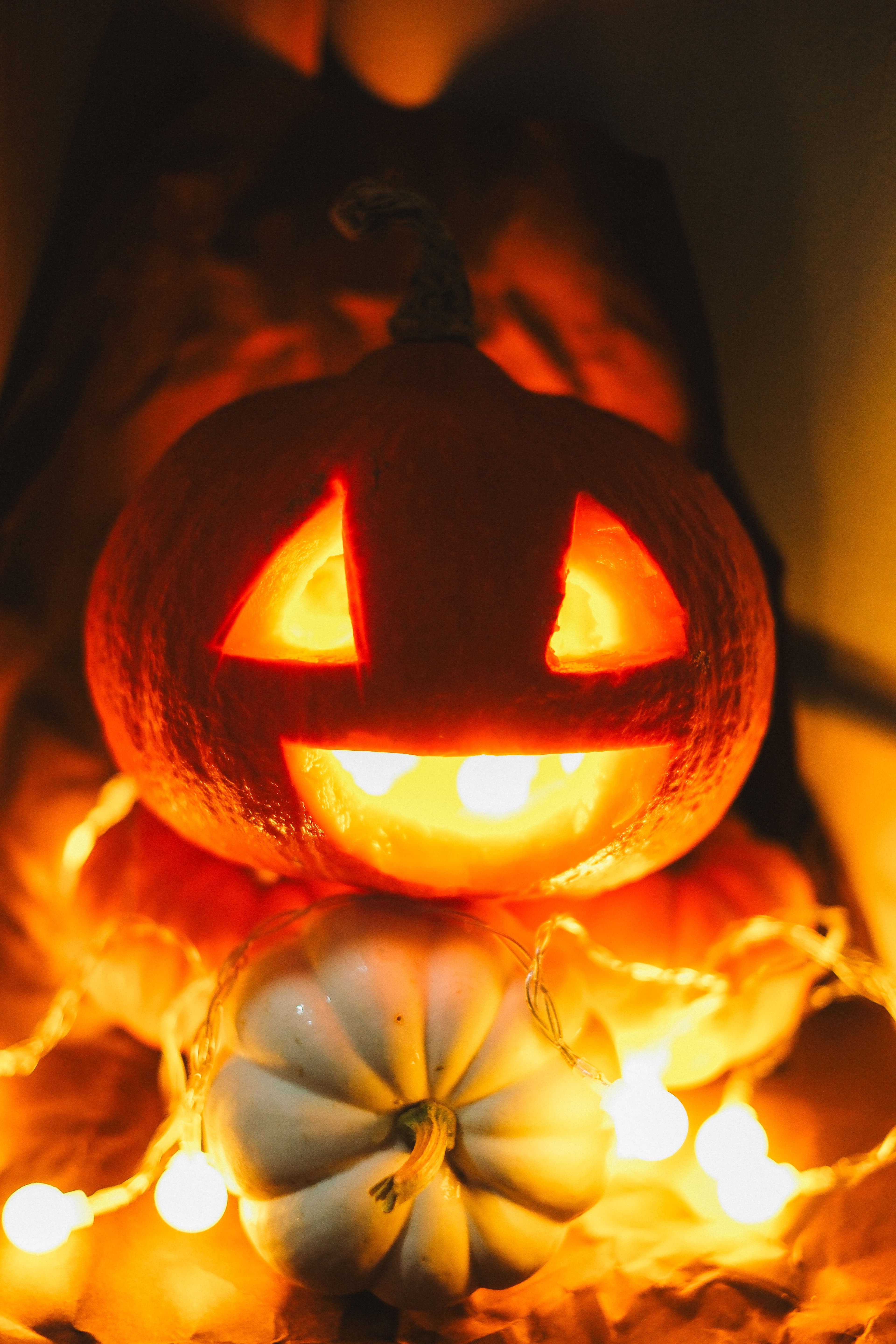 Spine Tingling Spooky Tales with the Secret Reading Society (10+)