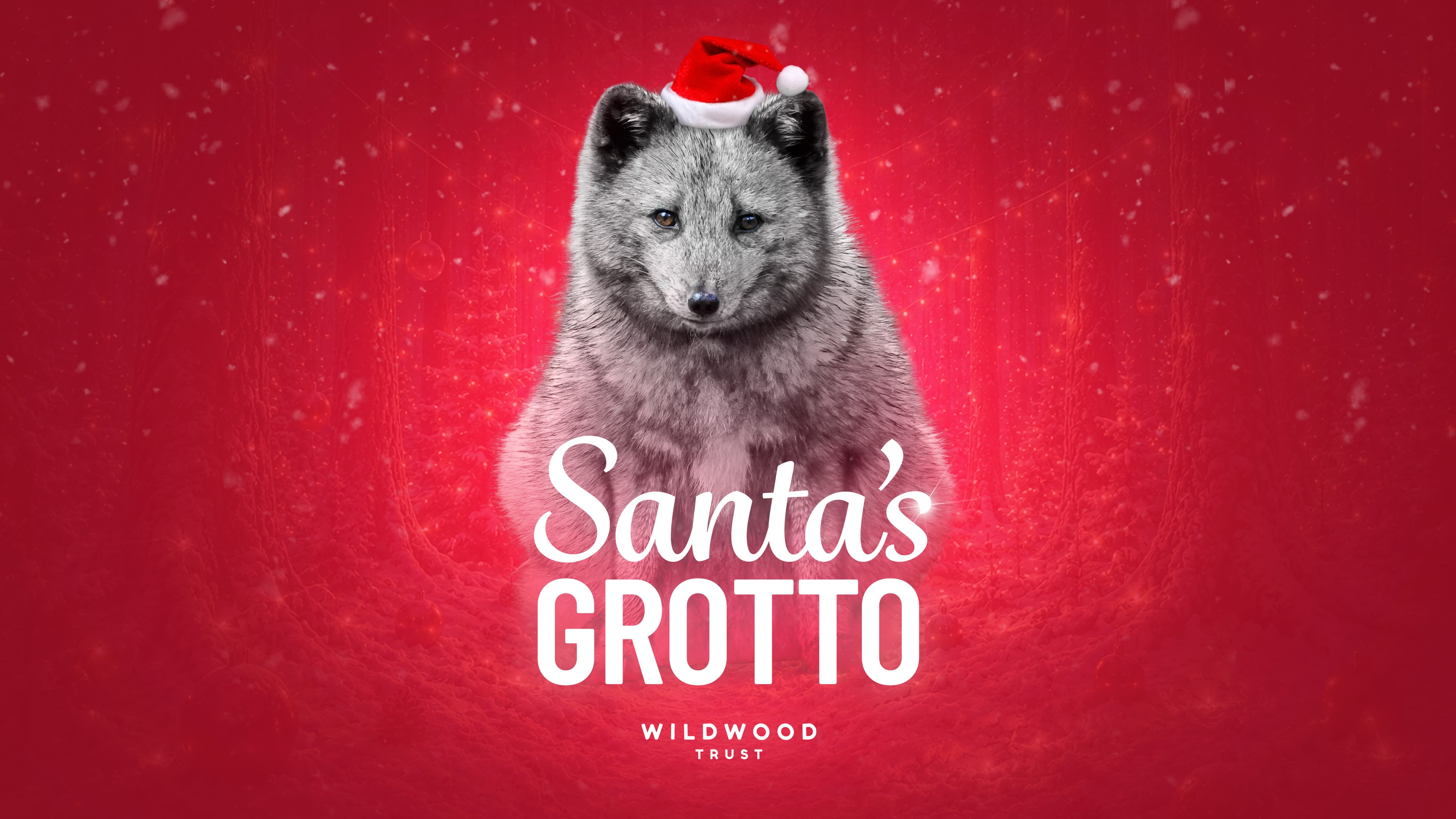 Santa's Grotto at Wildwood Devon