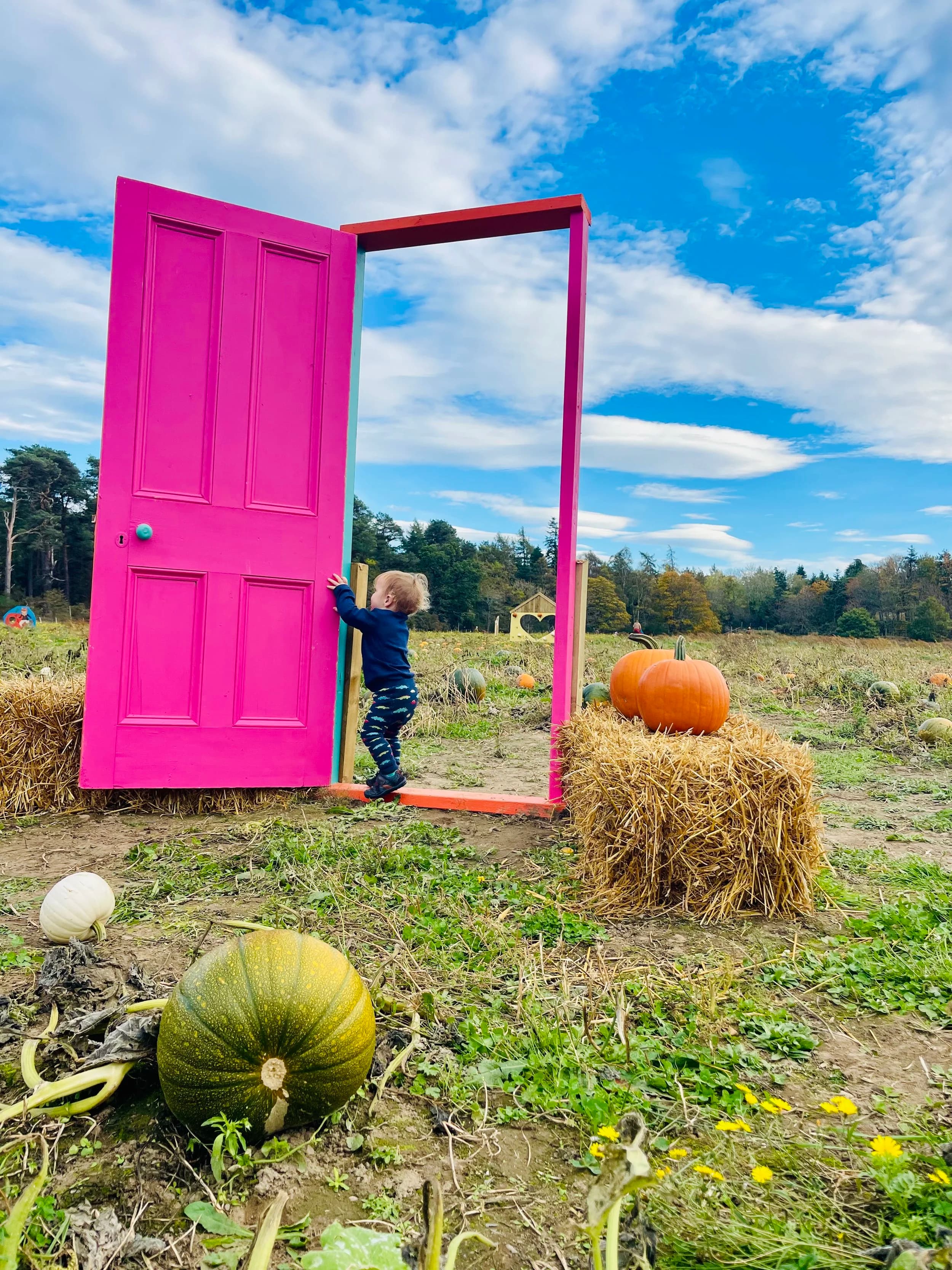 The Cawdor Pumpkin Patch