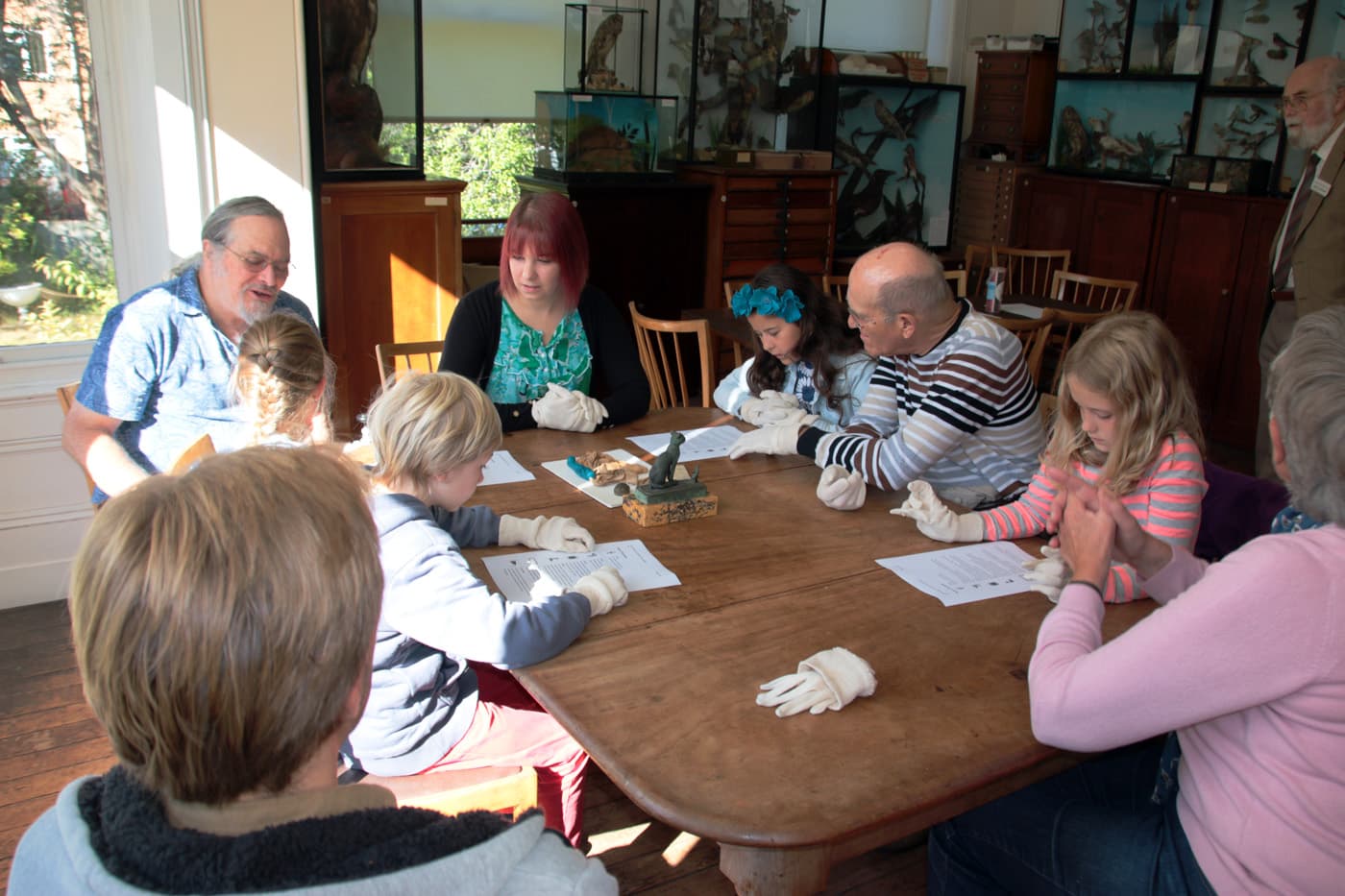 Young Explorers at Bournemouth Natural Science Society