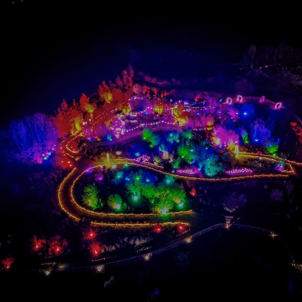 The Magic Lamp in the Hidden Garden - A Winter Light Trail