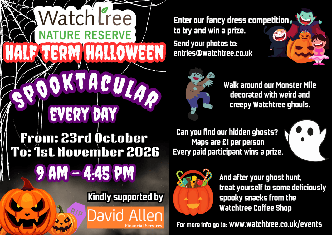 Watchtree Halloween Family Fun Week 2026