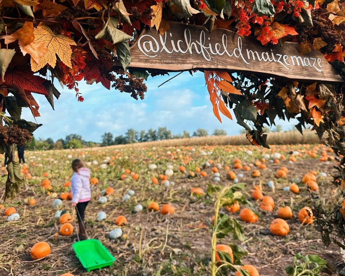 Pumpkin Season at Lichfield Maize Maze