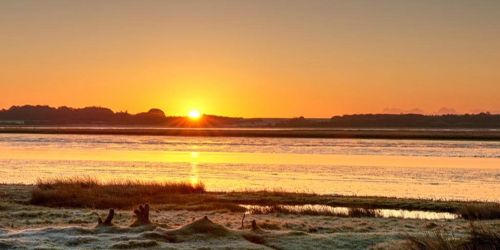 Sunrise Guided Walk at RSPB Arne