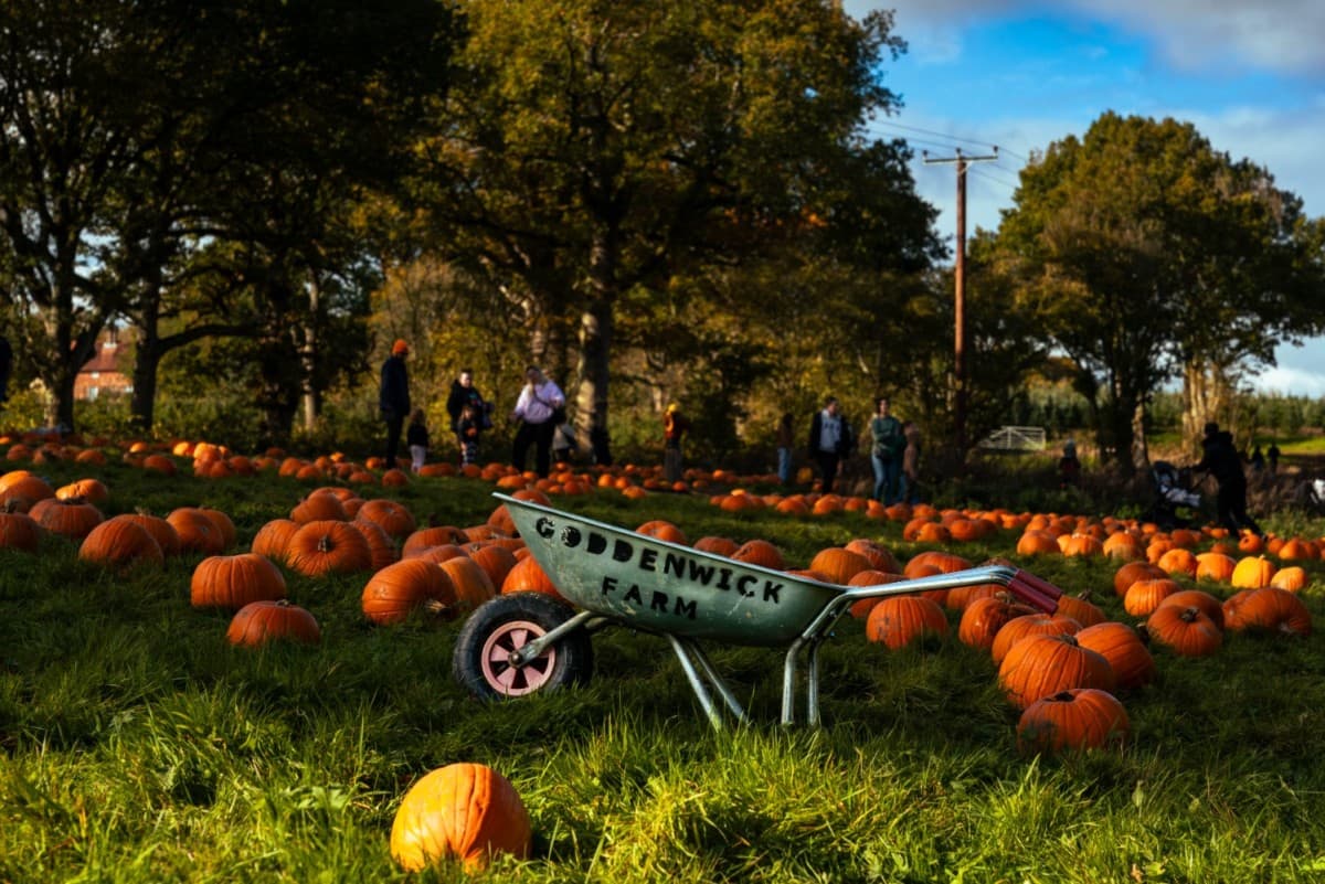 Goddenwick Pumpkin Festival