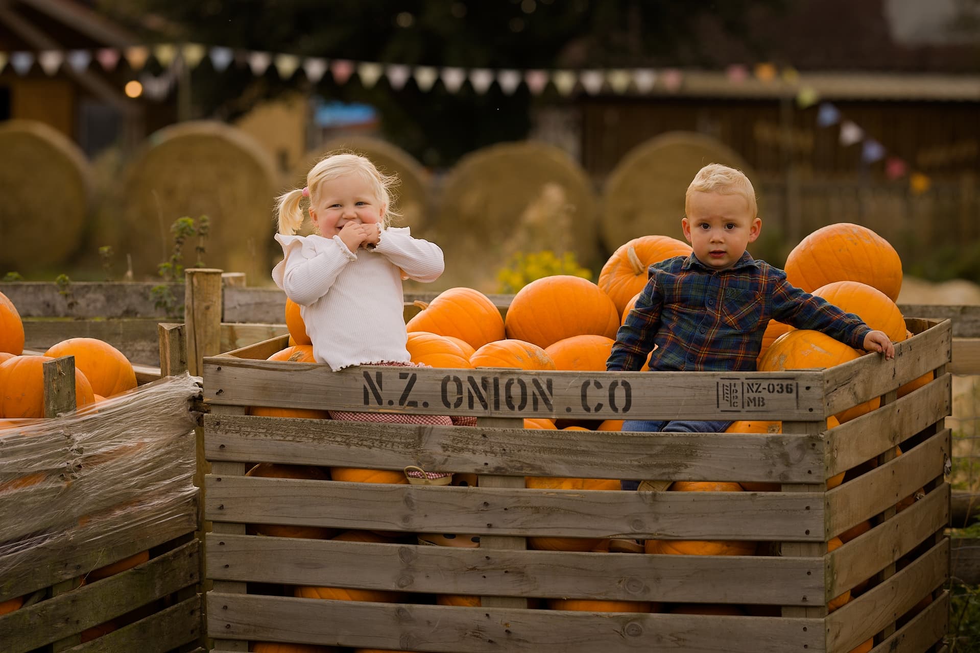 The Pumpkin Patch Festival