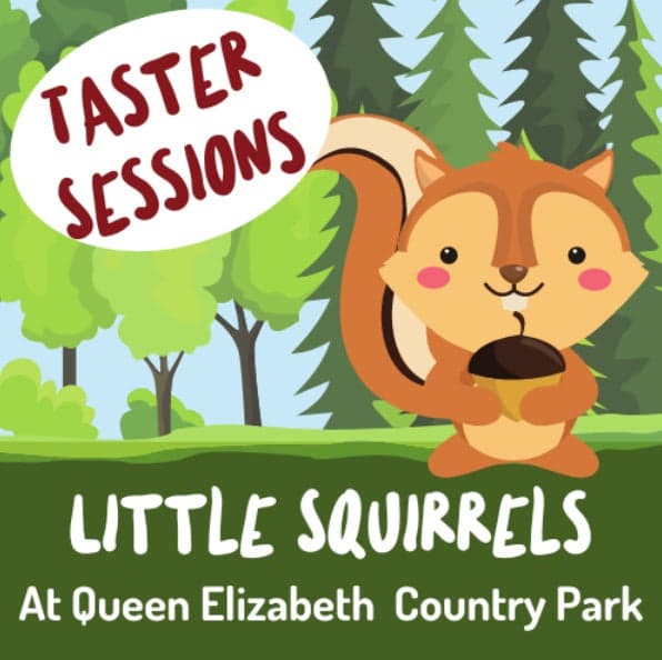Little Squirrels