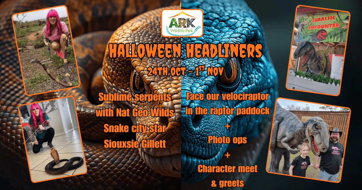 Halloween Half Term at Ark Wildlife Park