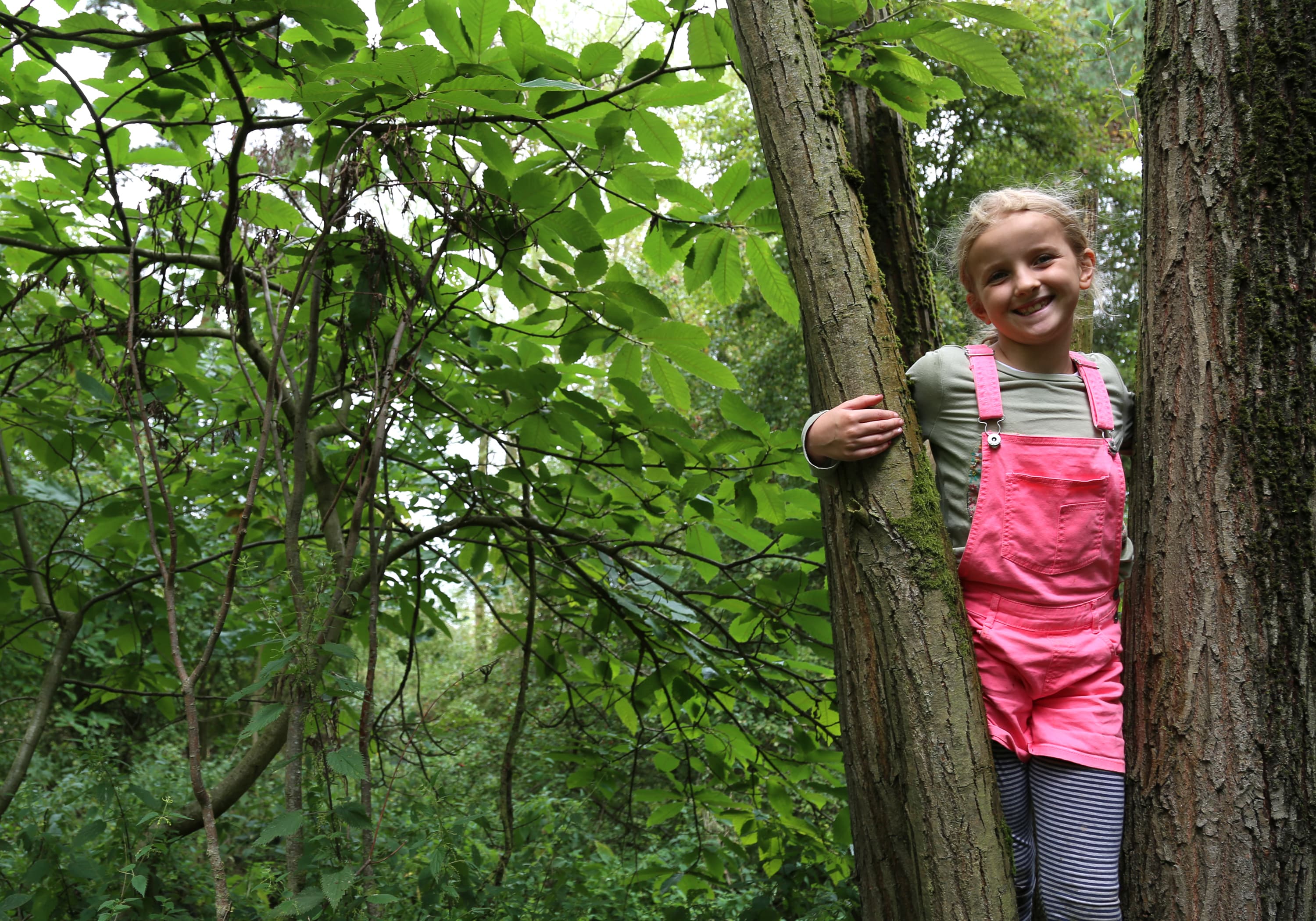 Belfairs Wilder Holiday Club