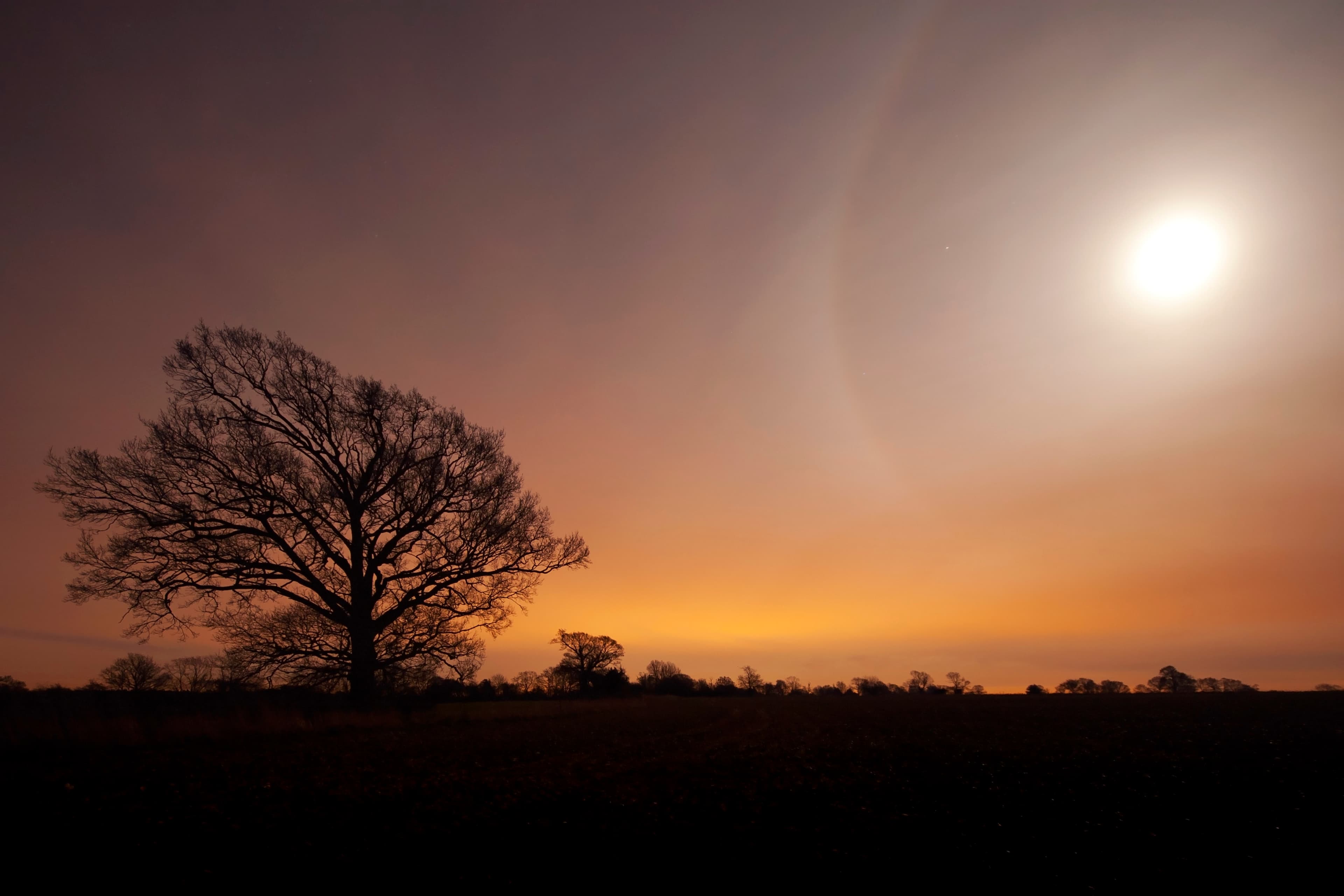 Wild Halloween at Carlton Marshes