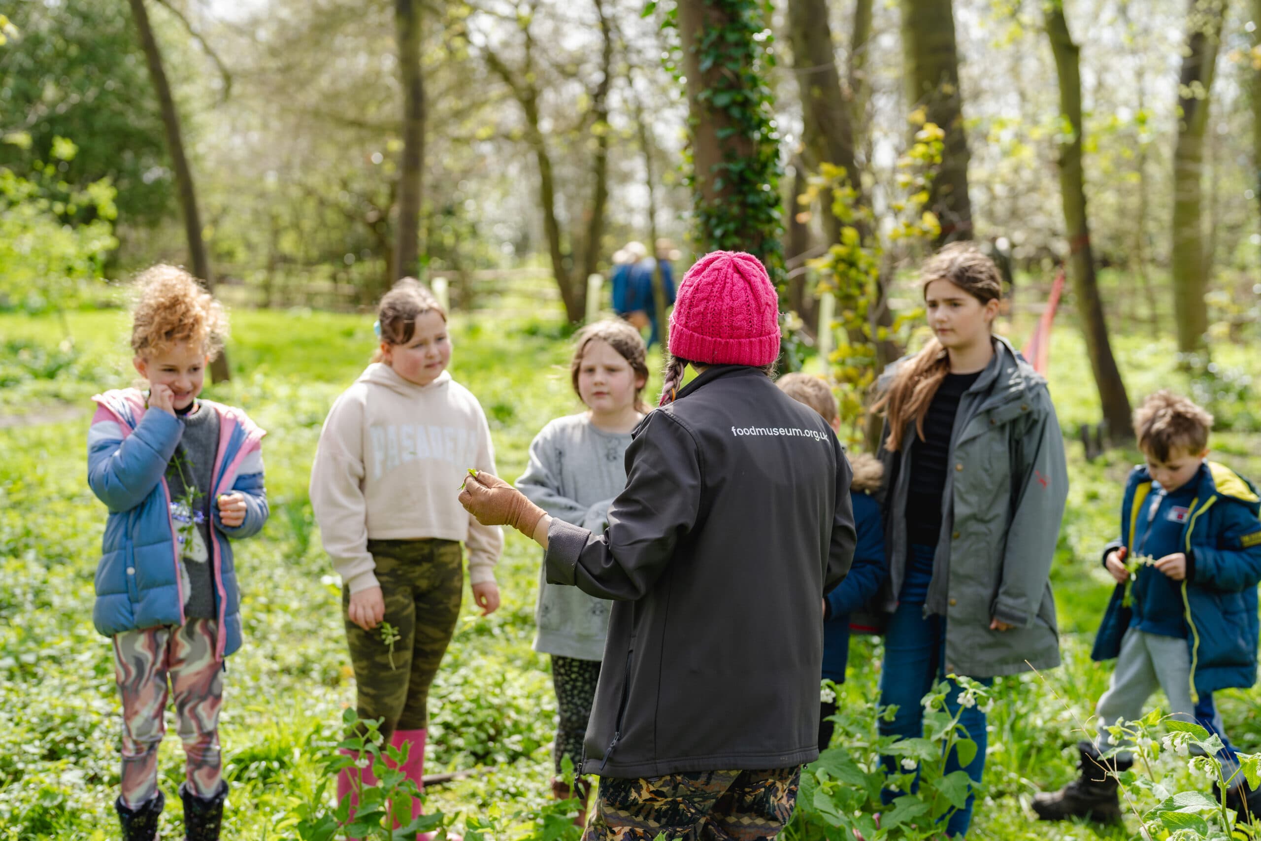 Home Ed Forest School