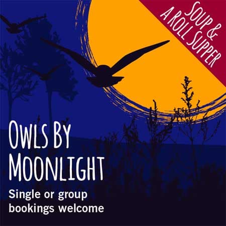 Owls by Moonlight