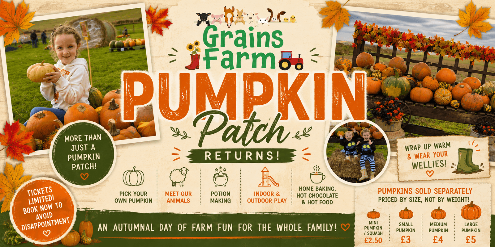 Grains Farm Pumpkin Patch