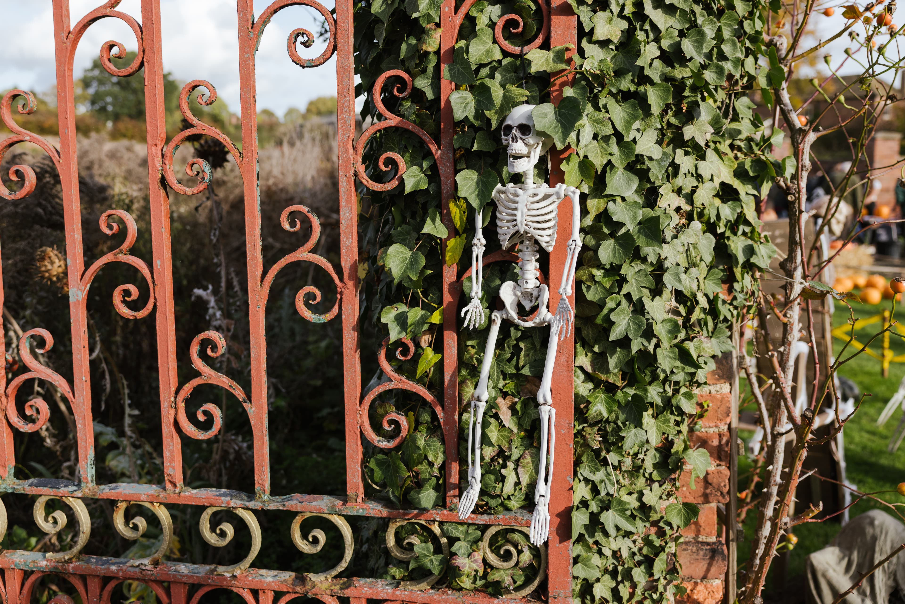 Halloween at Home Farm