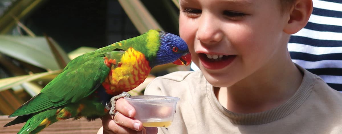 Dinosaur Summer Adventure Quiz