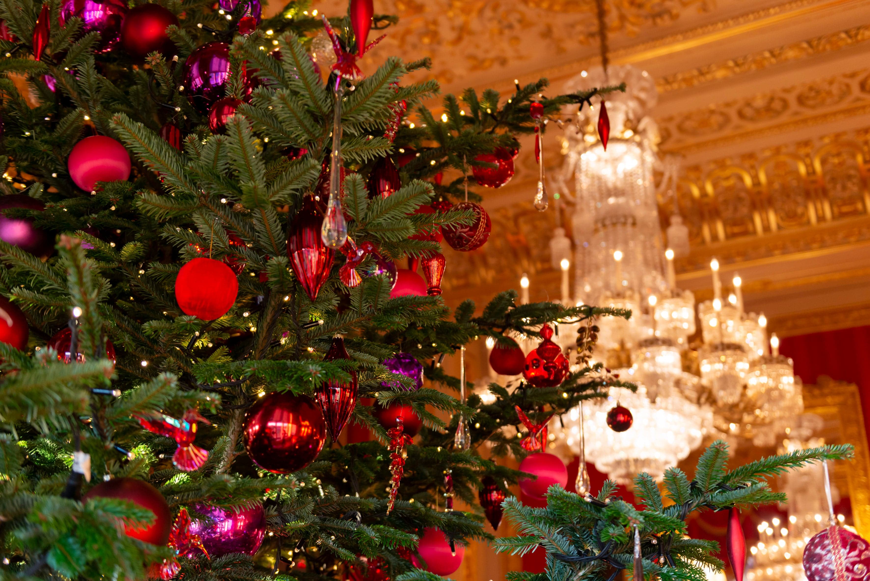 Festive Family Fun at Windsor Castle