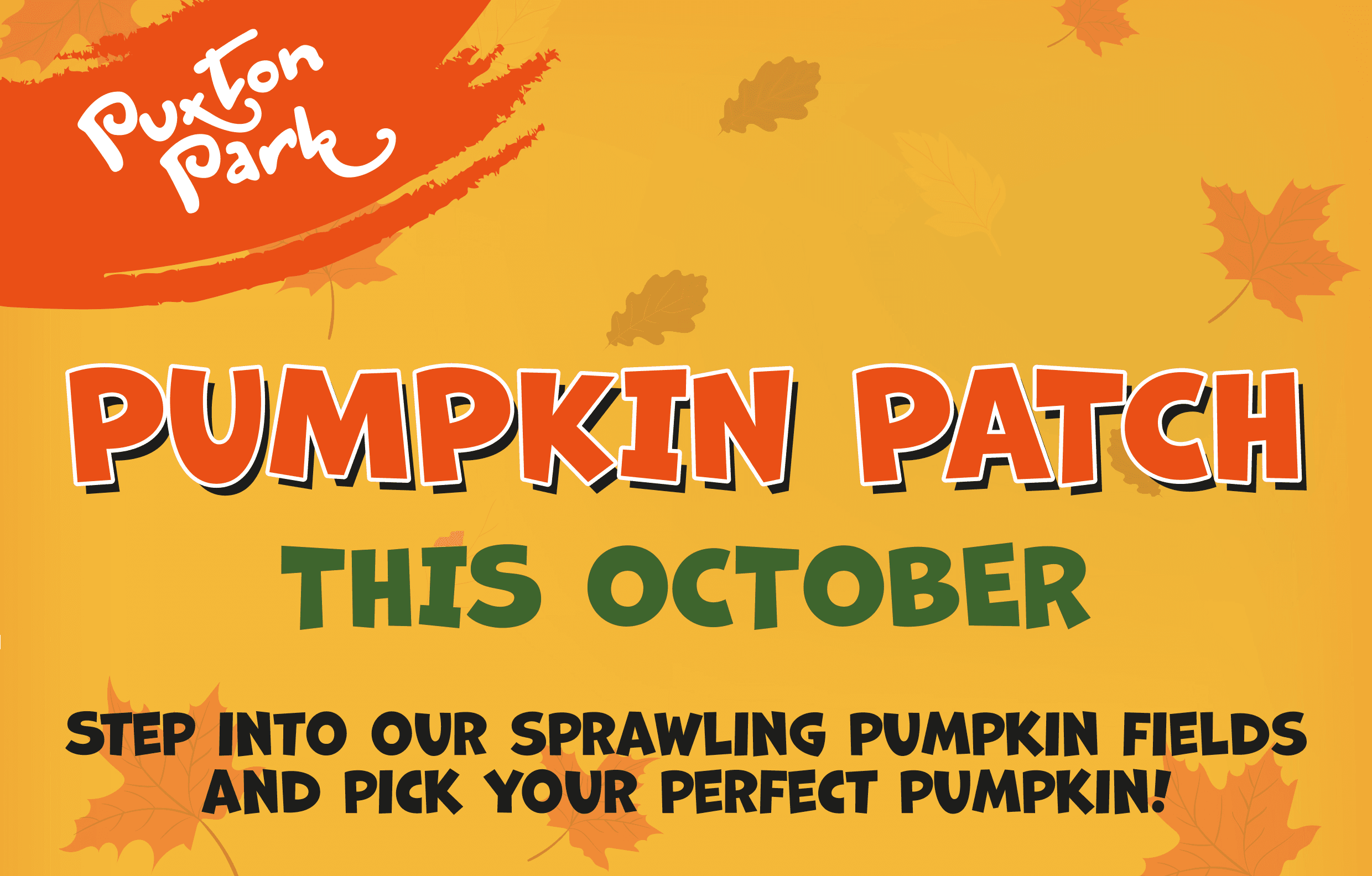 Pumpkin Patch at Puxton Park