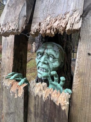 Halloween Haunt