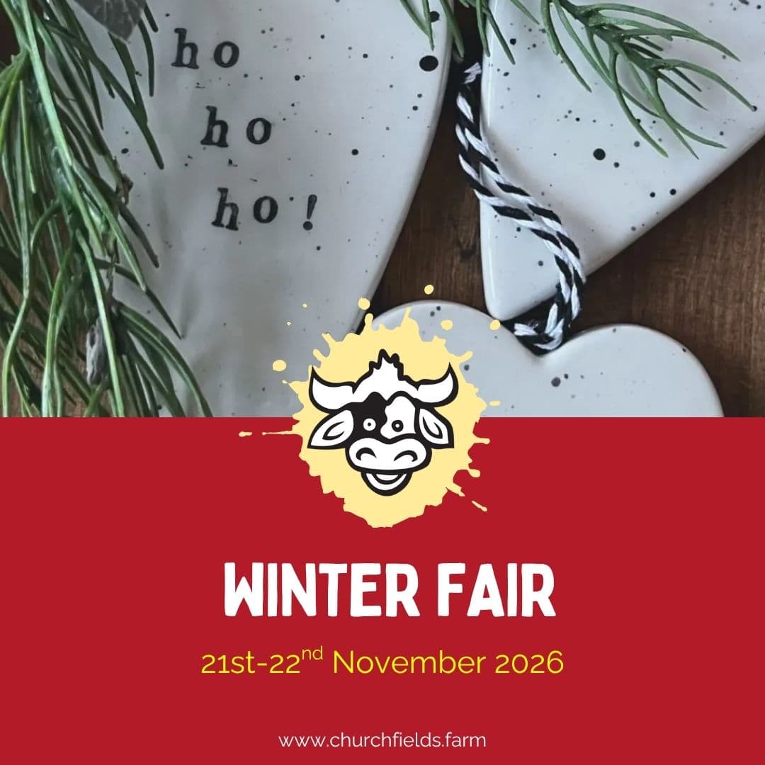 Churchfields Winter Fair