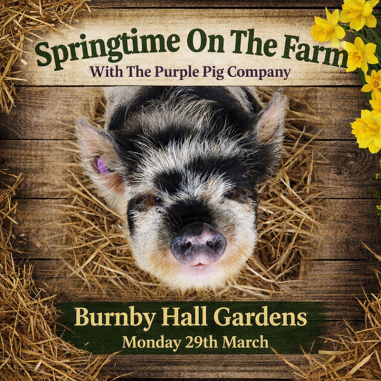 Springtime on the Farm