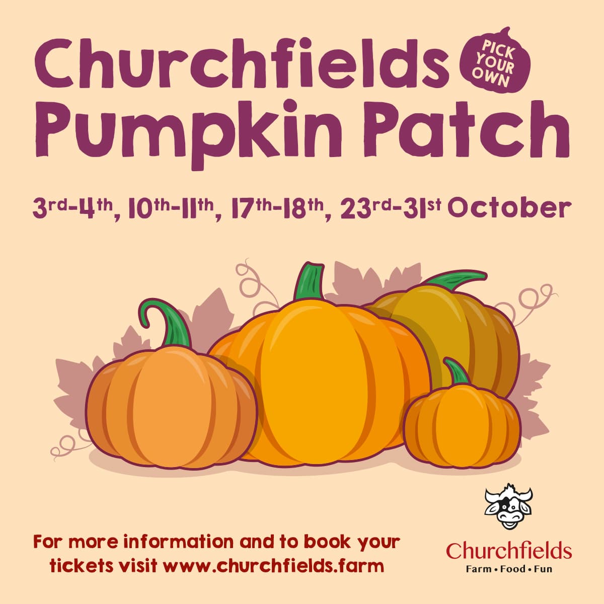 The Biggest Ever Churchfields PYO Pumpkin Patch