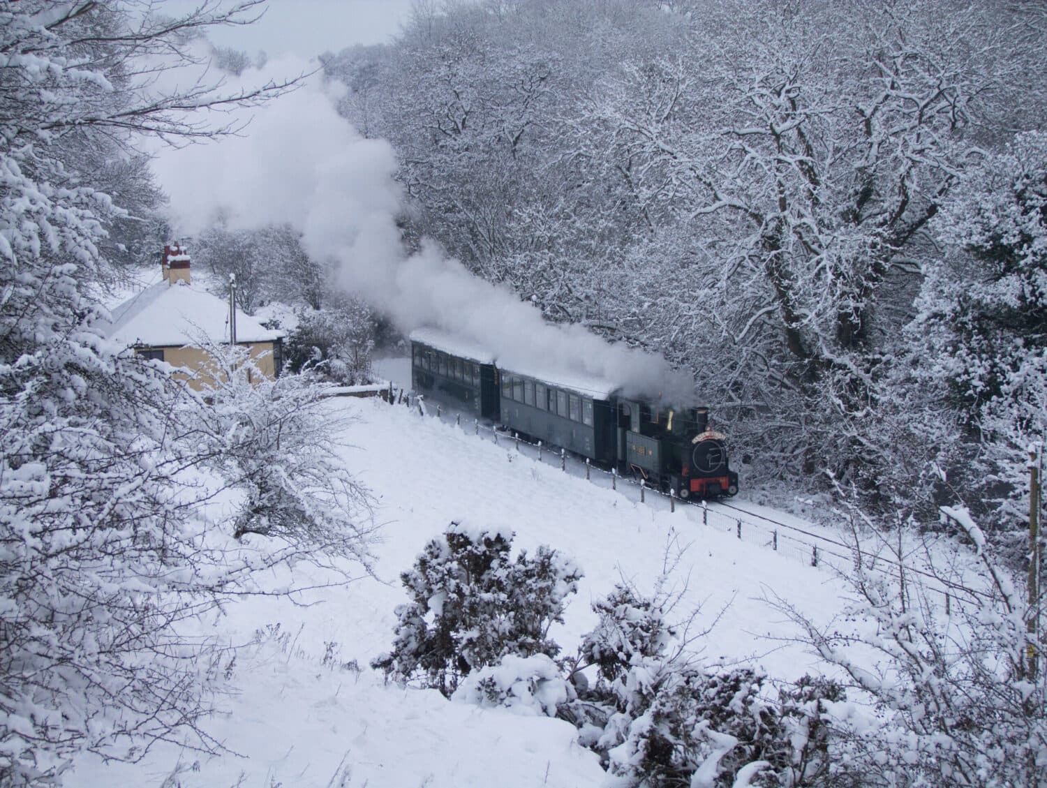 Mince Pie Trains