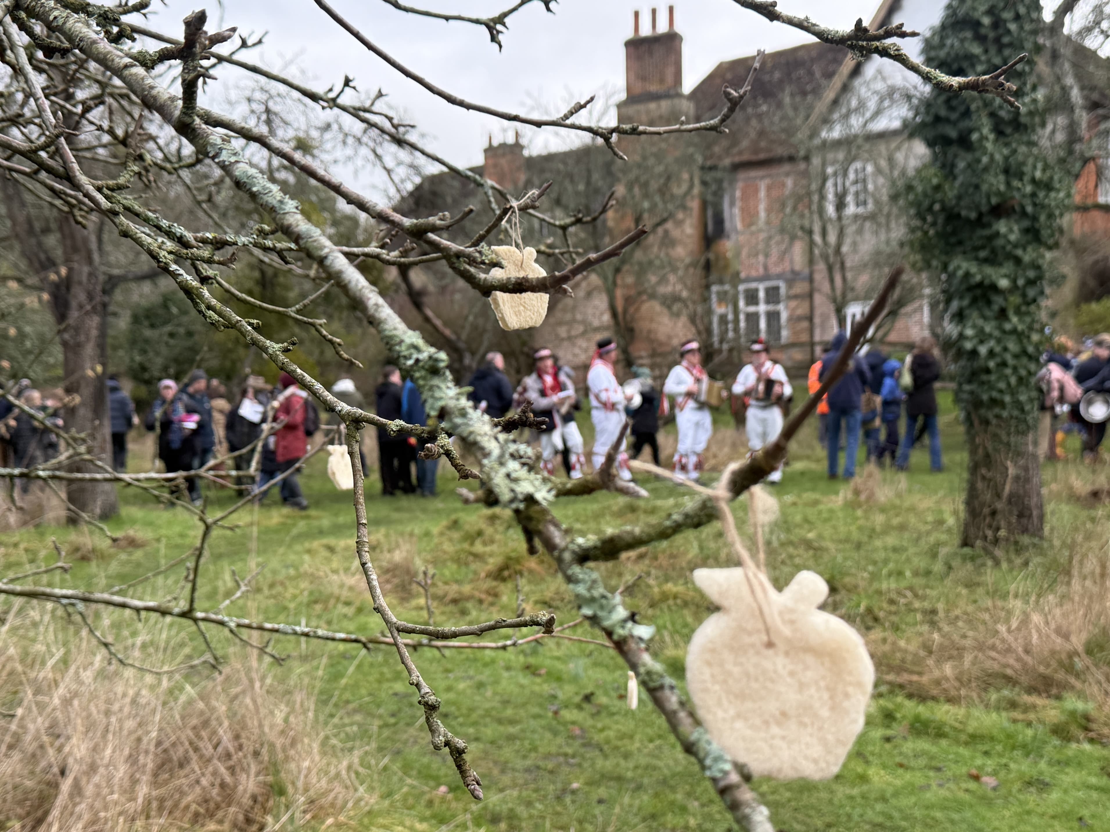 Wassail