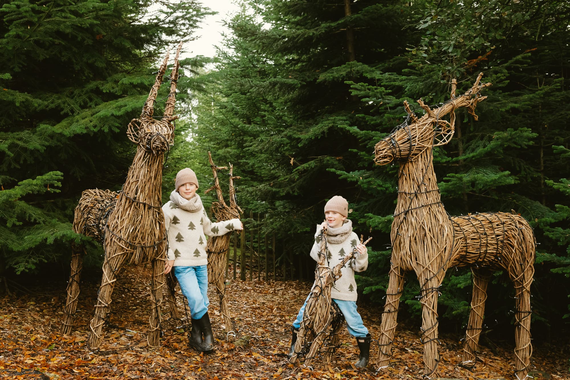 The Plotters' Forest Enchanted Christmas Trail (daytime)