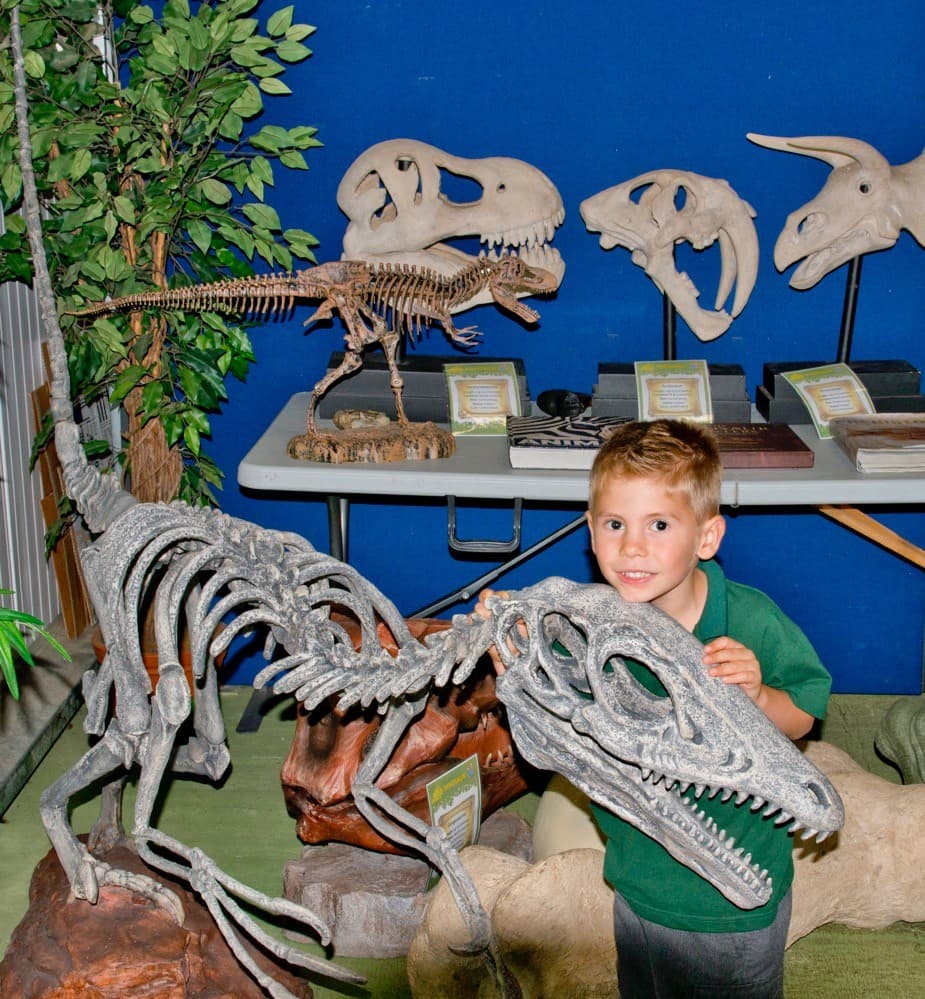 Zoo Academy: Ringo’s Explorers