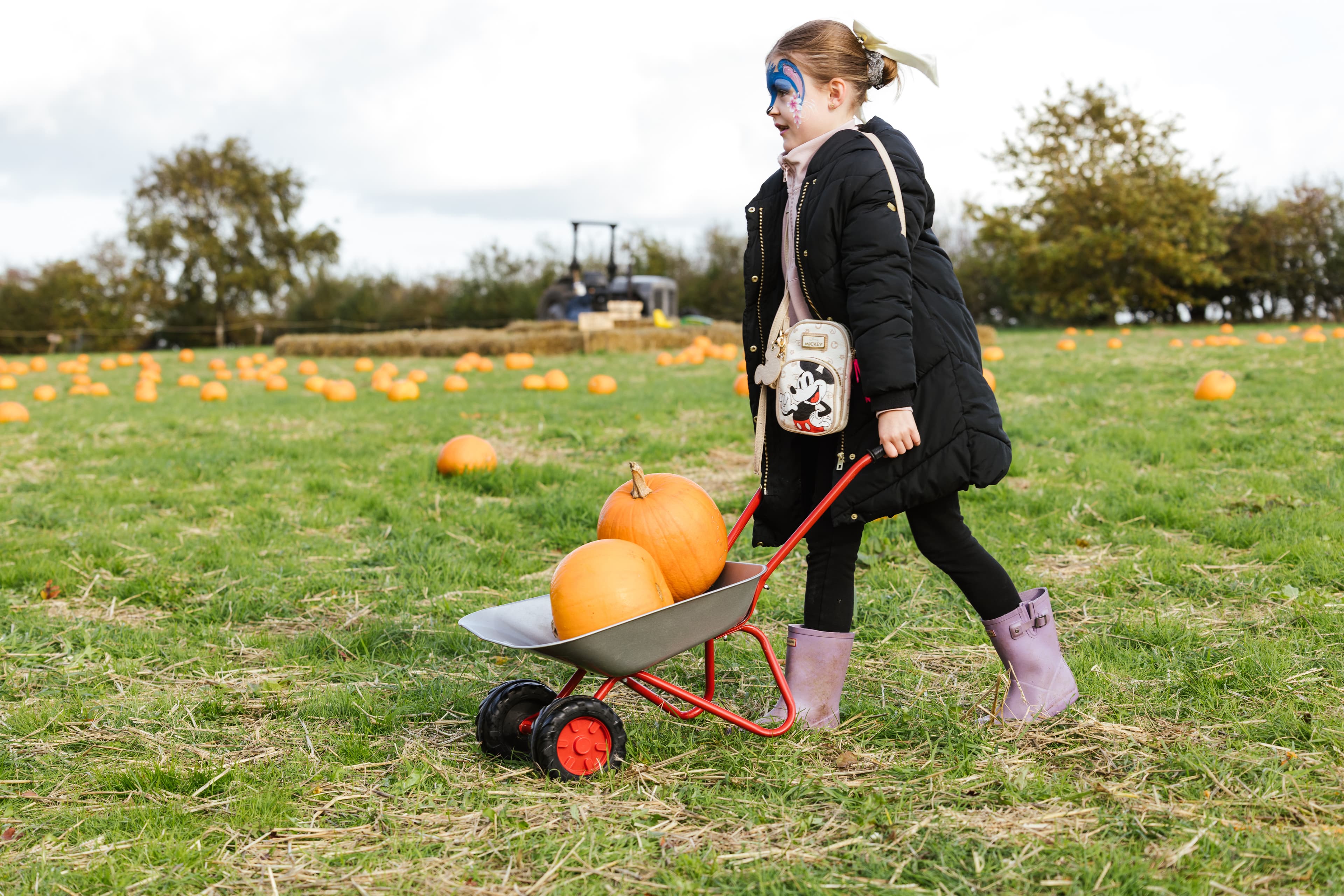 Pumpkin Patch