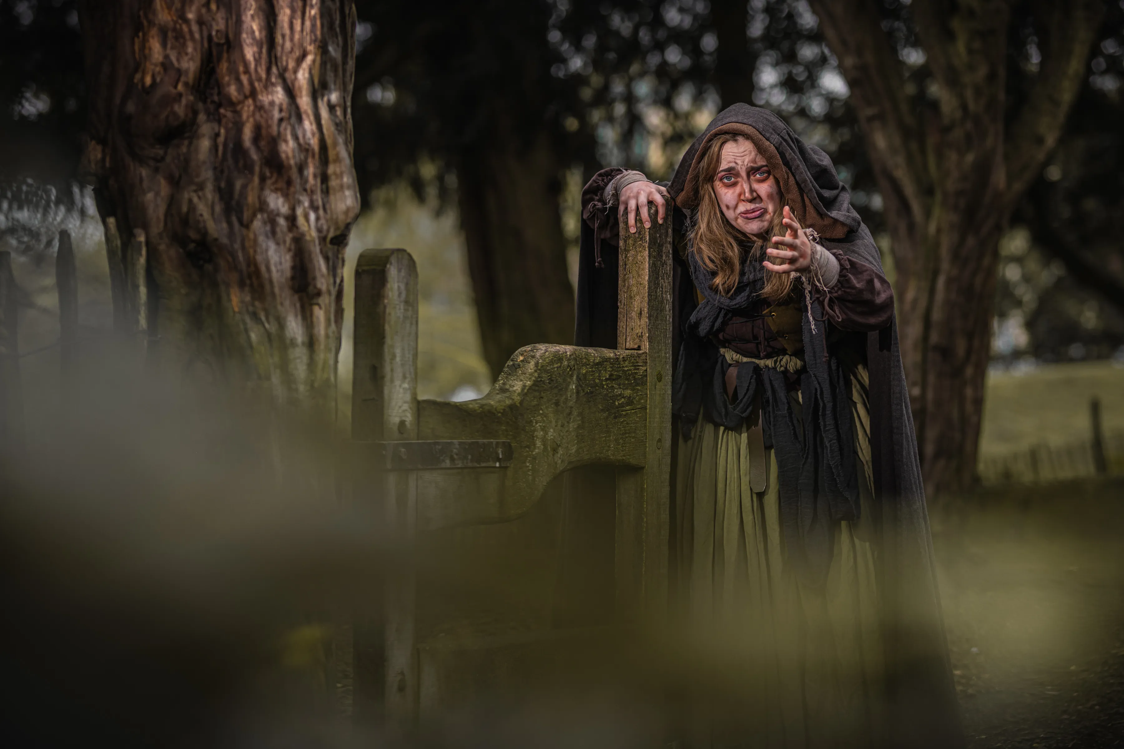 Mother Shipton: The Great Prophetess