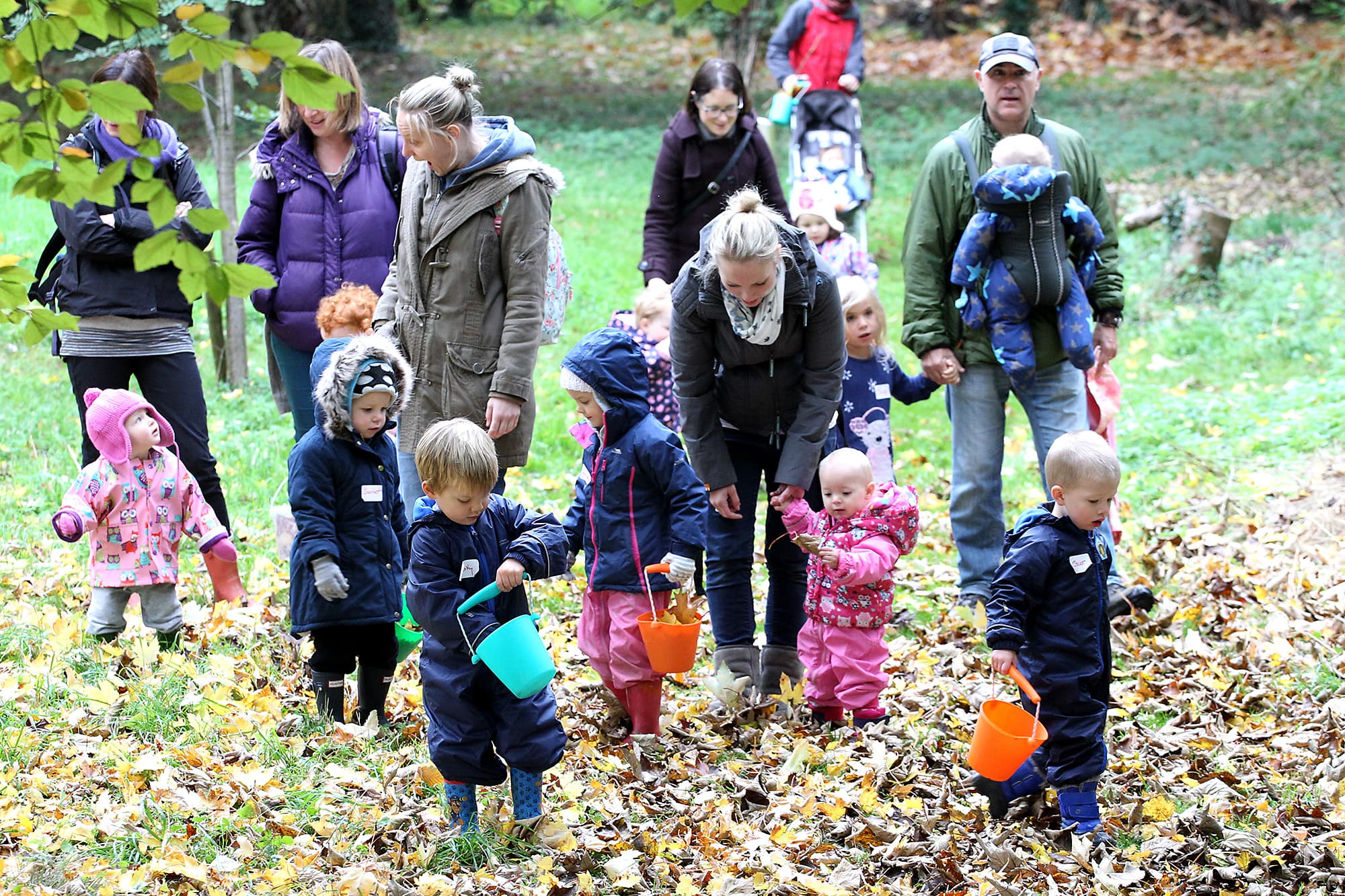 Nature Tots: Winter Animals/Xmas - Nature Discovery Centre