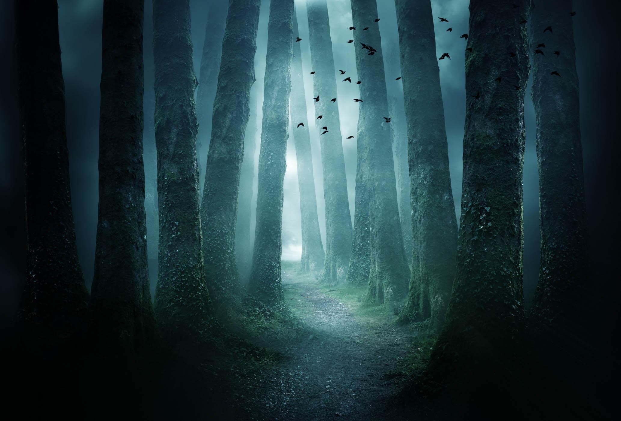 Spooky Woods Family Halloween Trail at House of Dun