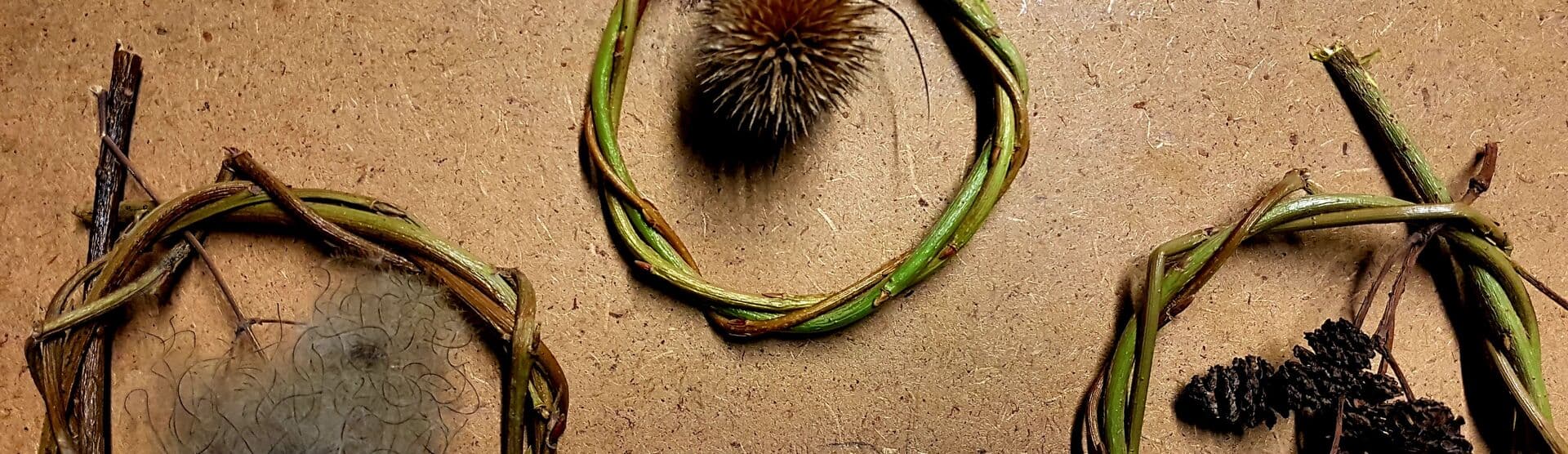 Championing Nature: Urban Nature Club at Woodberry Wetlands - Autumn Wildlife and Art