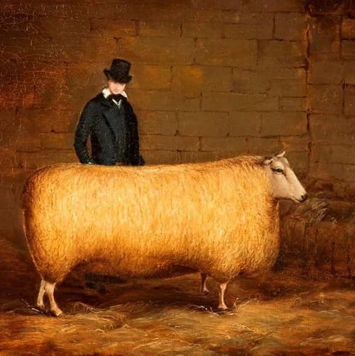 Half Term Woolly Morning with Stroudwater Textile Trust