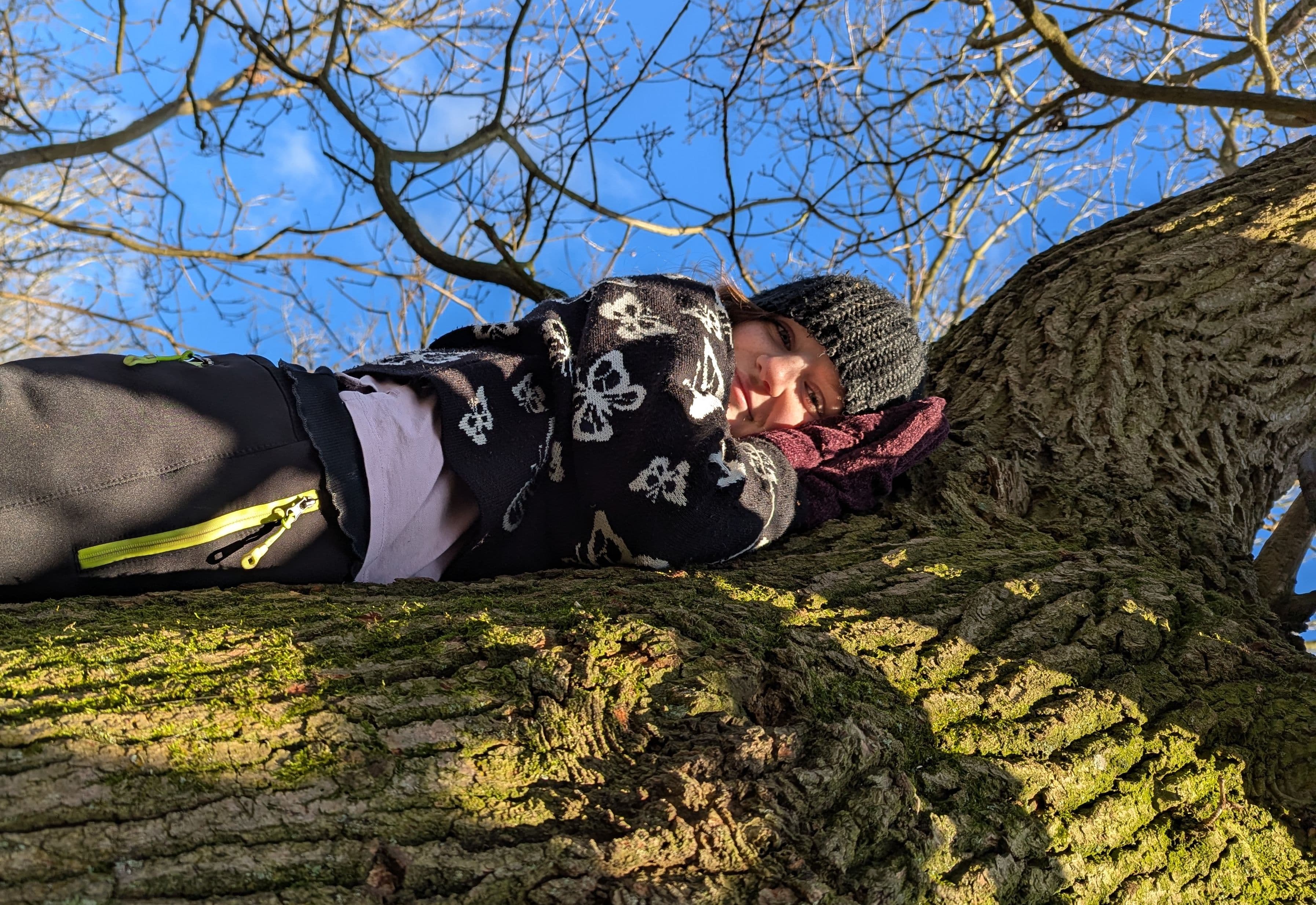 Wild Kids Forest Weekday Fun (11-16 yrs) at Foxburrow