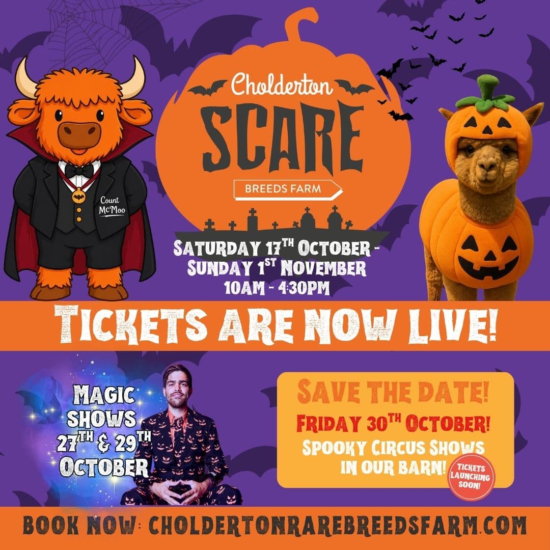 Cholderton Scare Breeds Farm - October Half-Term Farm Fun