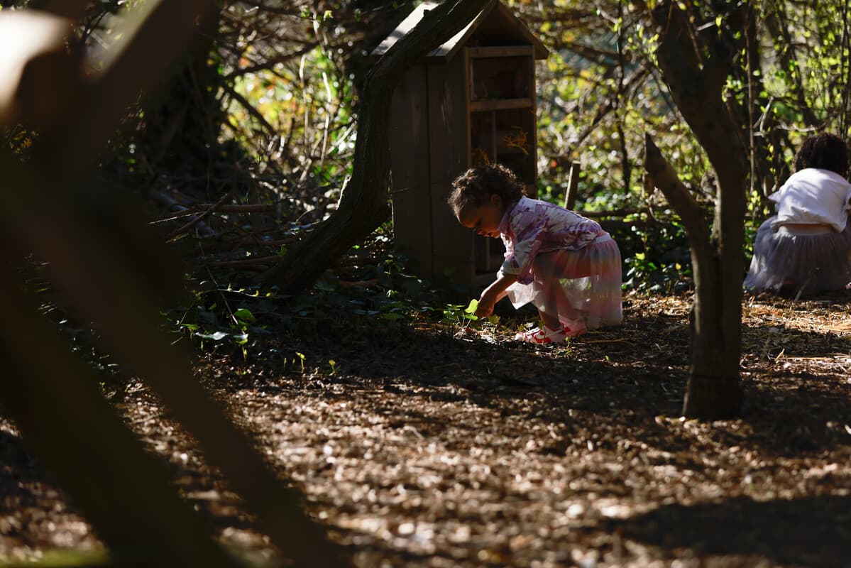 Urban Nature Club at Sydenham Hill Wood - Fungi