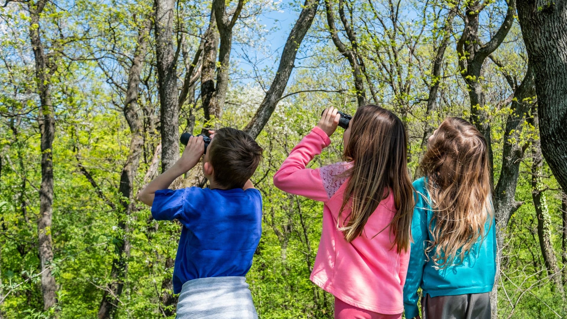 FREE Bird Watching for Families Workshop