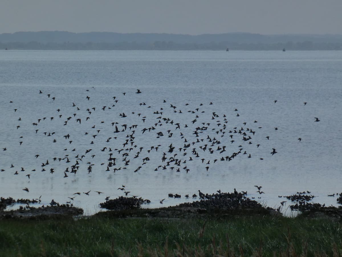 Autumn Wildlife Trail