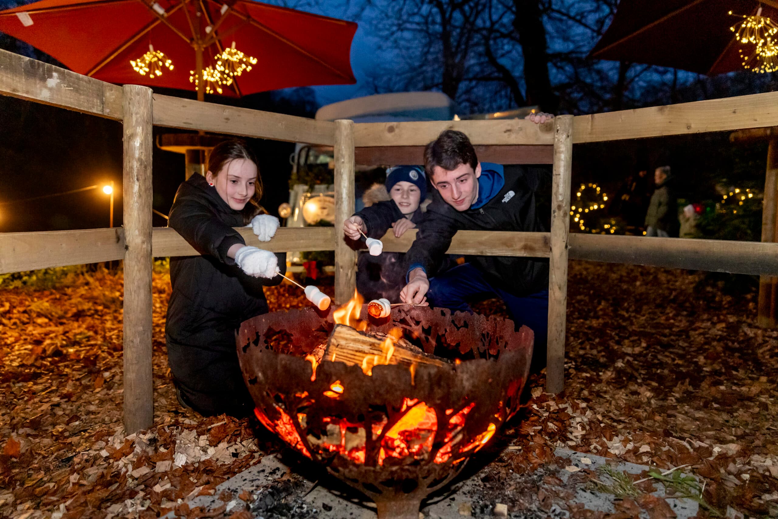 Relaxed Visits to Father Christmas 2026