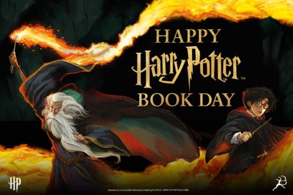 Harry Potter Book Day at Manor Farm