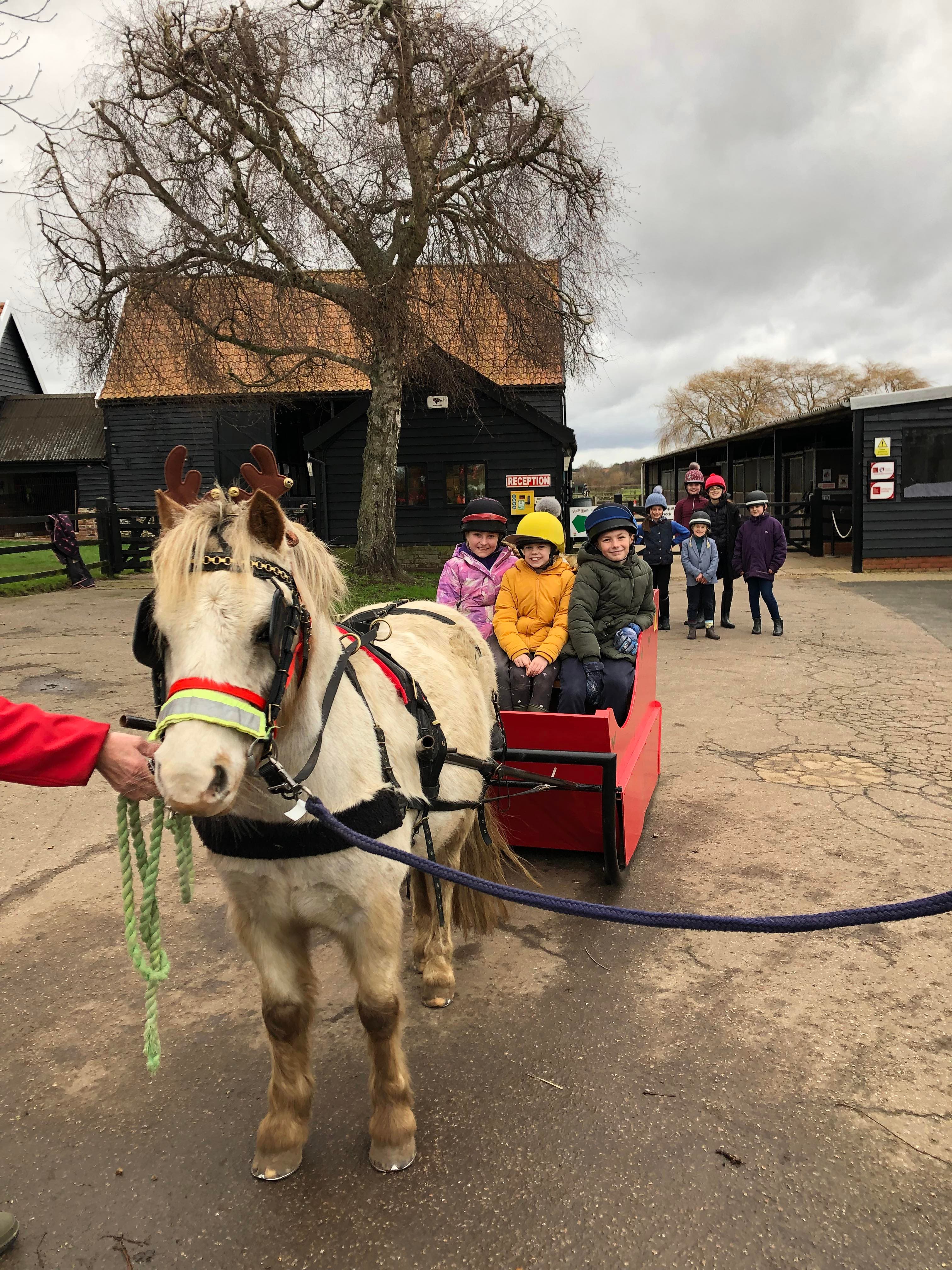 Christmas Sleigh Rides
