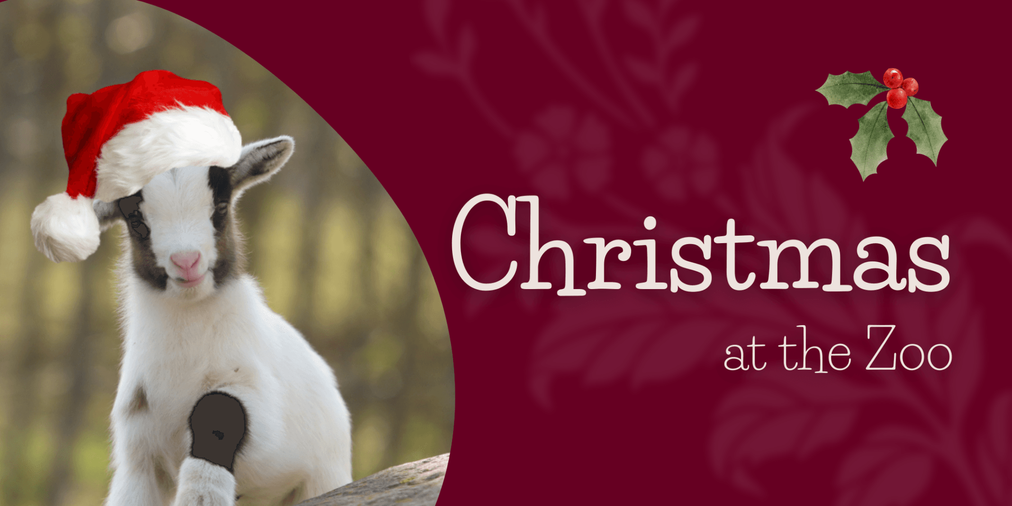 Christmas at the Zoo