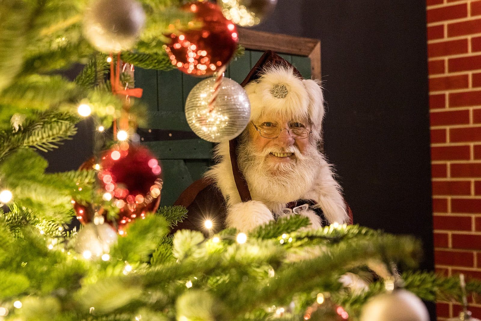 Father Christmas at Perrygrove