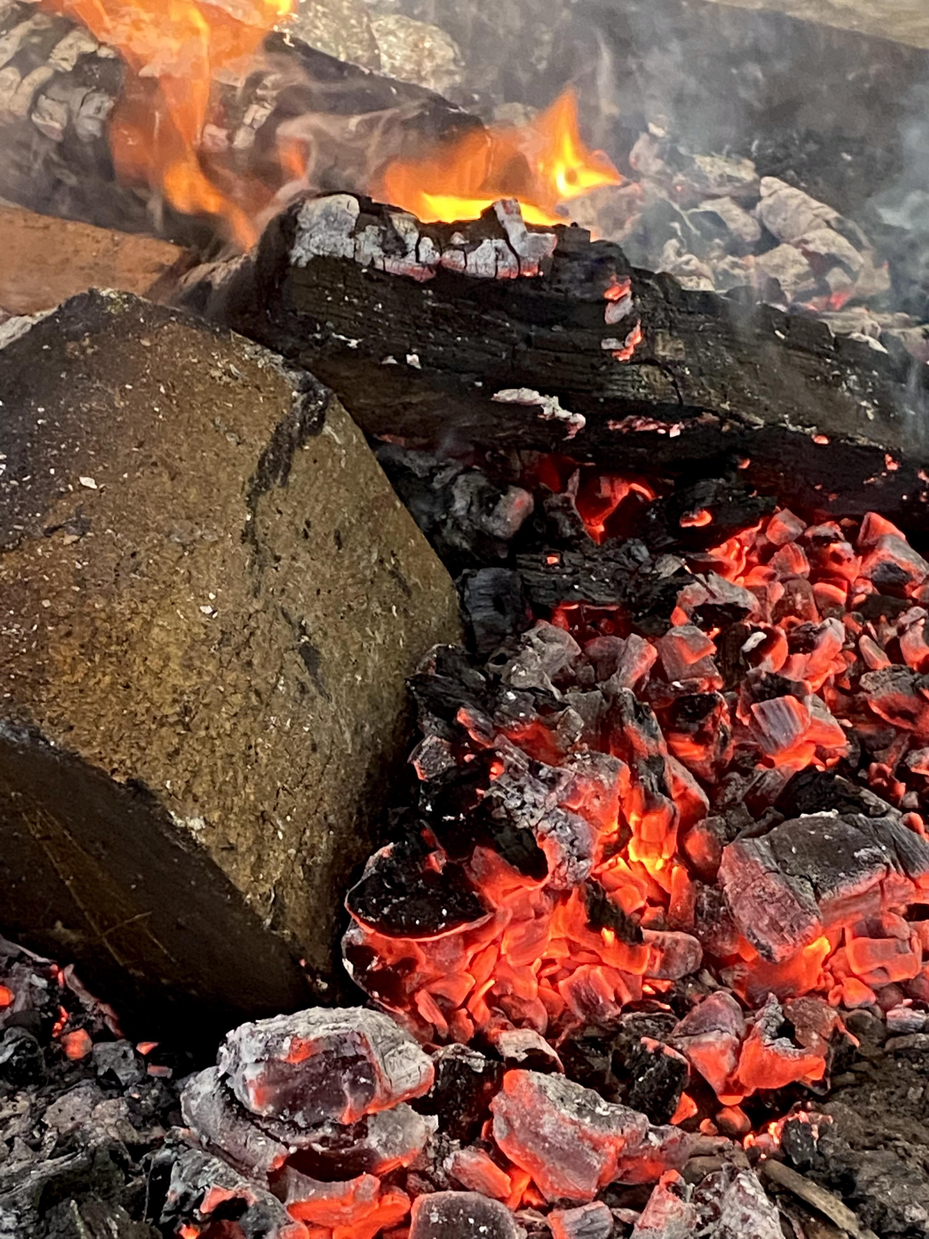 Frosty dens and campfire Smore's at Ryton Pools Country Park