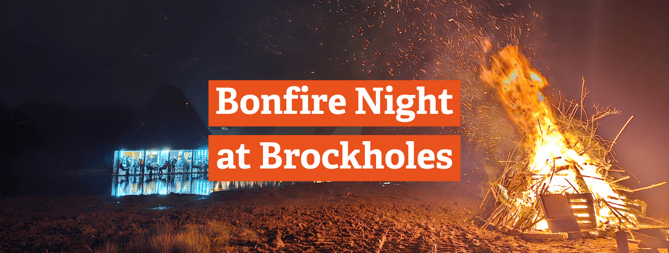 Bonfire Night at Brockholes