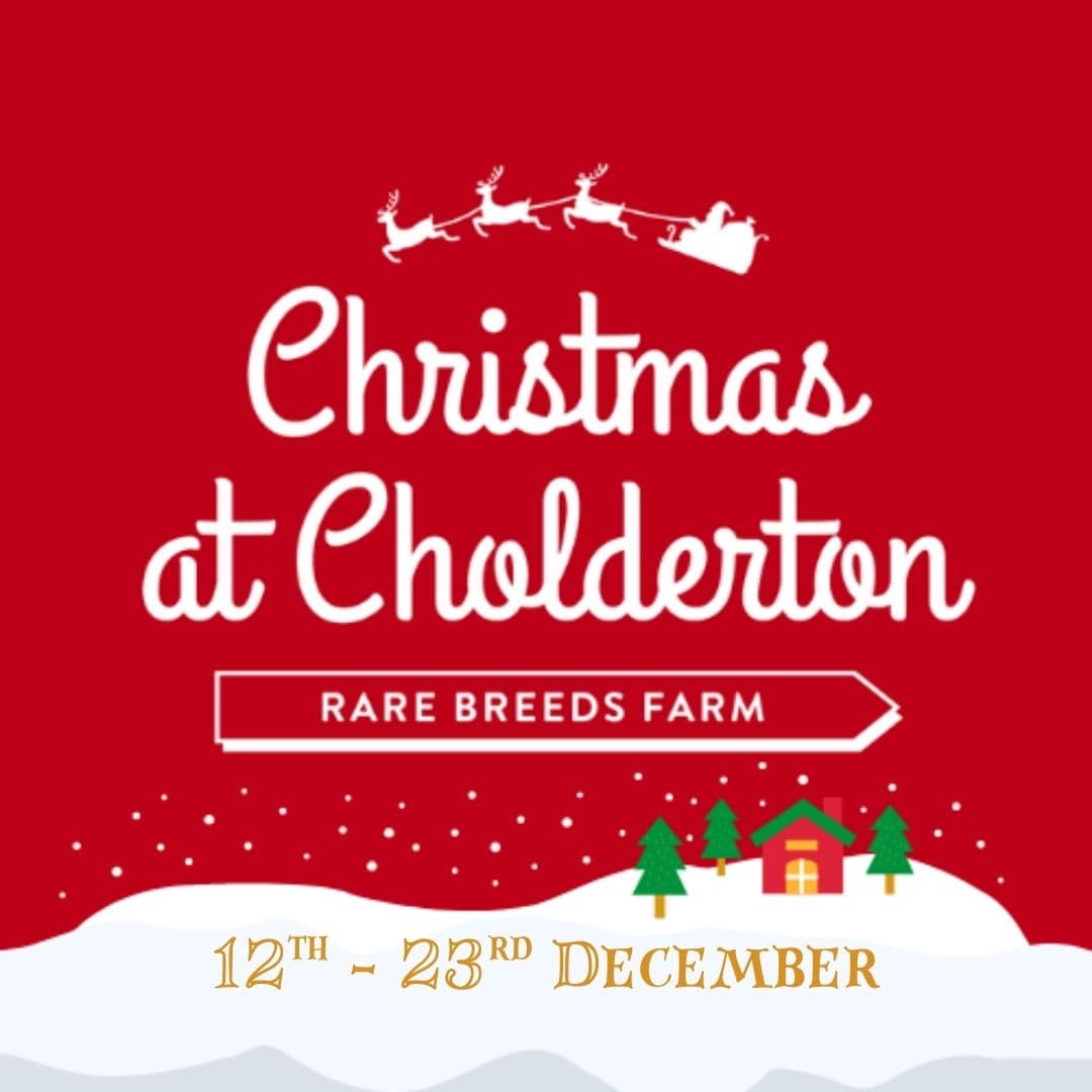 Christmas at Cholderton Rare Breeds Farm 2026